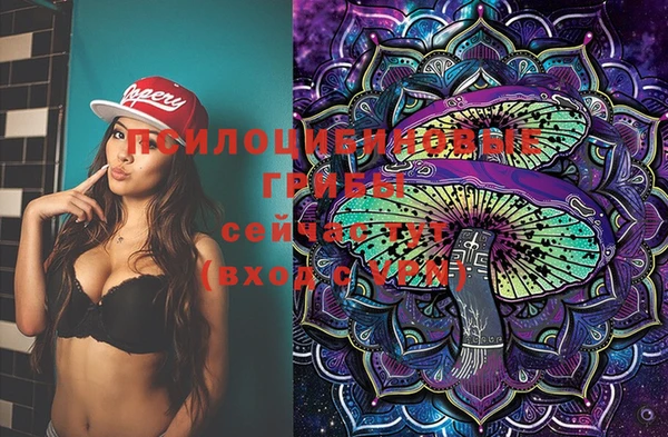 mix Лабытнанги